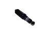 Zawieszenie gwintowane Street D2 Racing MINI COOPER (R53) 01-06
