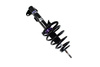 Zawieszenie gwintowane Street D2 Racing MERCEDES BENZ CLK C209 5/6 CYL 02-07