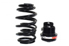 Zawieszenie gwintowane Street D2 Racing VOLKSWAGEN GOLF 4 (2WD) 50mm 98-03
